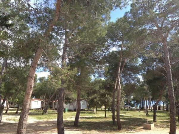 Camp Porat Hotell Povljana Eksteriør bilde